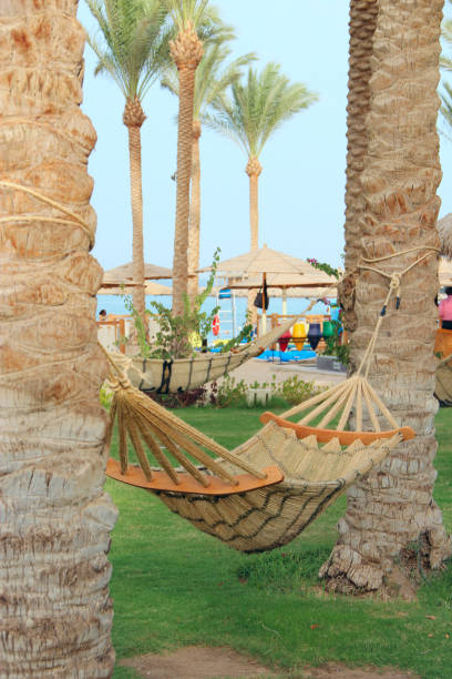 Hammock between with palm trees on beautiful tropic resort. resting in hammock. Holyday concept. Relax in hammock