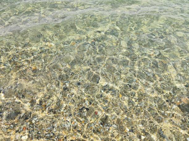 Sand sea bottom rippled with small waves