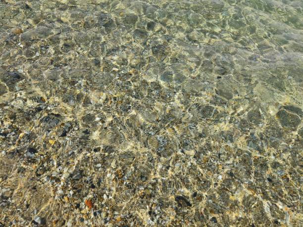 Sand sea bottom rippled with small waves