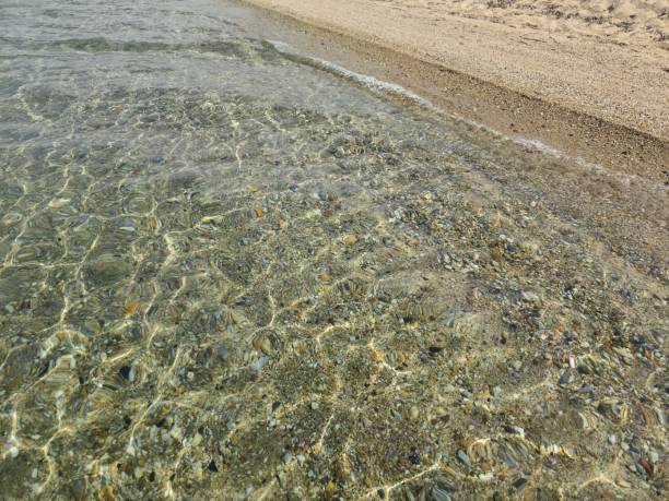 istock Sea bottom viewed through clean transparent water 2152958070