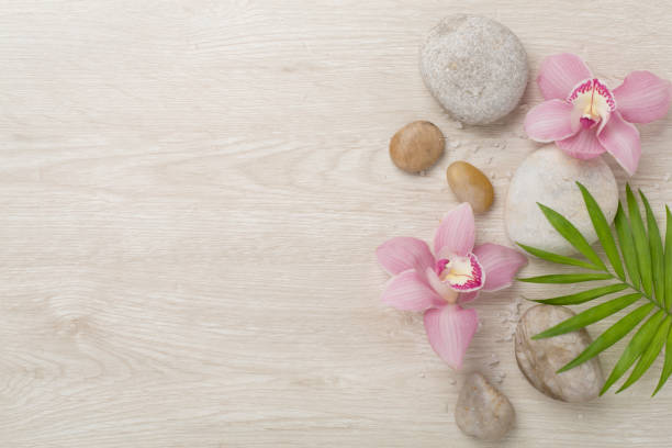 Flowers: Orchid Still Life