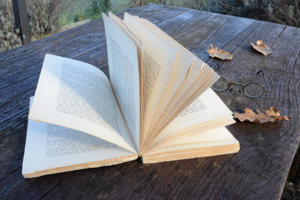 An old open book and dry leaves over an old table