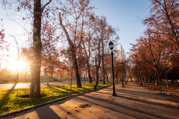 istock Sunrise in Parque Forestal at autumn 2152972286