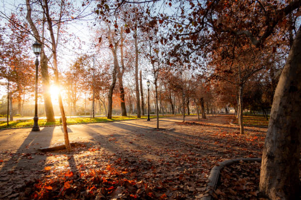 istock Sunrise in Parque Forestal at autumn 2152972291