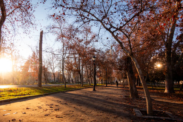 istock Sunrise in Parque Forestal at autumn 2152972294