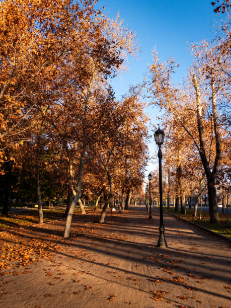 istock Sunrise in Parque Forestal at autumn 2152972298