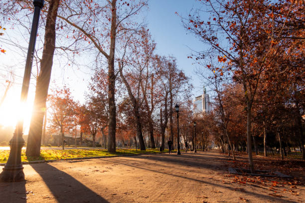 istock Sunrise in Parque Forestal at autumn 2152972307
