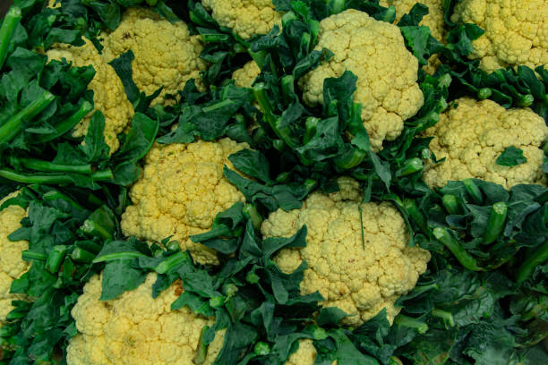 istock Fresh mature cauliflower on market 2152973362