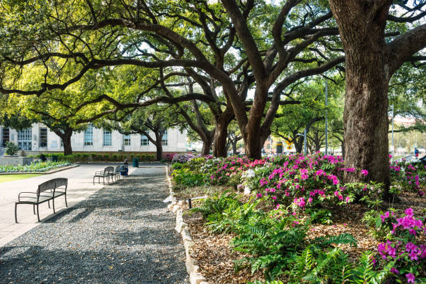 Tranquillity Park with azalea flowers and oak trees in front of the City Hall in downtown Houston, Texas, USA.