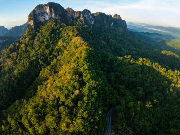 istock Aerial view Drone camera rainforest trees ecology with healthy environment concept and summer background 2152979250