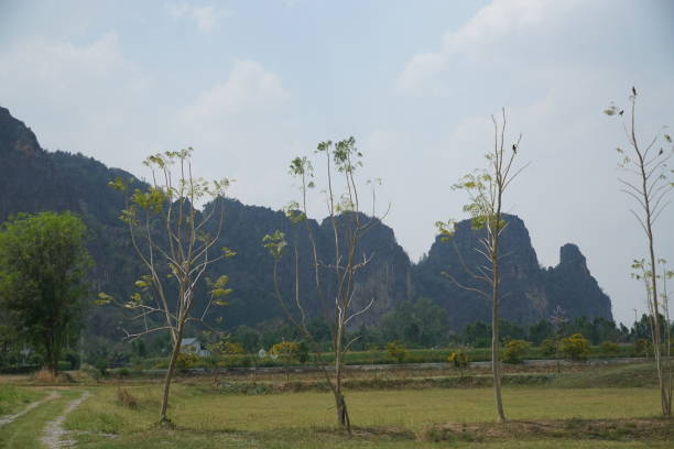 Áo khoác jean nam 9042 màu xanh đậm