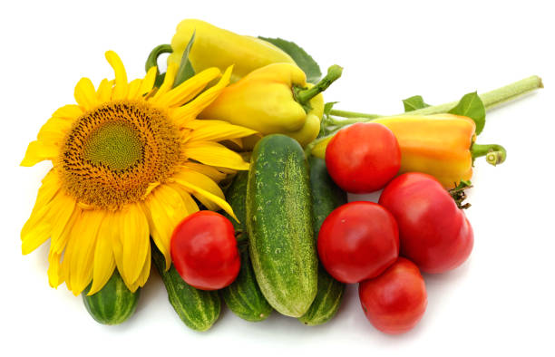 istock Bunch of vegetables. 2152985731