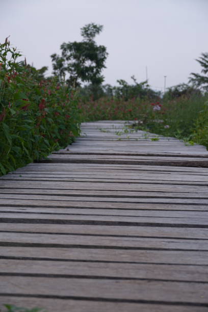 A wooden bridge with a path of flowers on either side. The flowers are red and green. The bridge is surrounded by trees and bushes