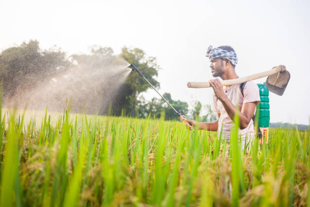 istock indian farmer using crop sprayer and holding garden hoe 2152988500