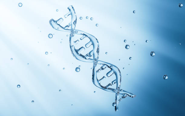 istock DNA and molecules, skincare and biomedical concept, 3d rendering. 2152990784