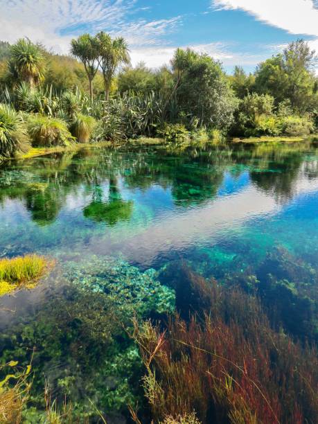 istock The Crystal Clear Springs 2152993133