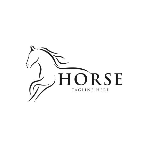 ilustrații de stoc cu creative cal elegant logo simbol design ilustrație vector - coamă animală