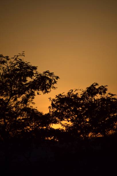 istock Sunsets in the capital city. 2152994677