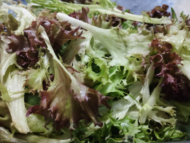 istock vegetable salad with green and purple leafy vegetables 2152995156