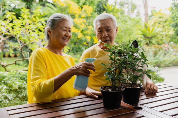 istock Hobbies at home, senior man watering plant. 2152997783