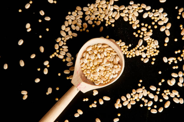 istock Seeds in a wooden spoon 2152999463