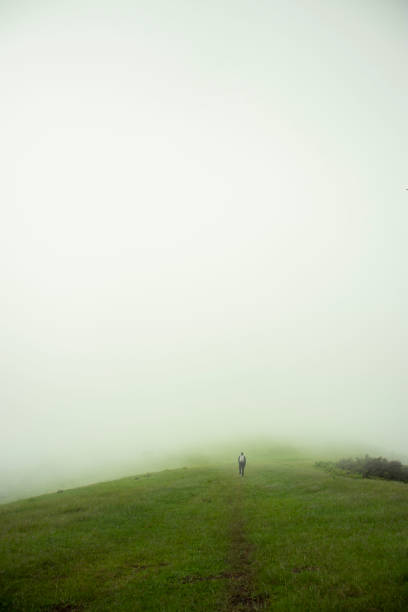 istock A person walking on a hike trail in fog 2152999588