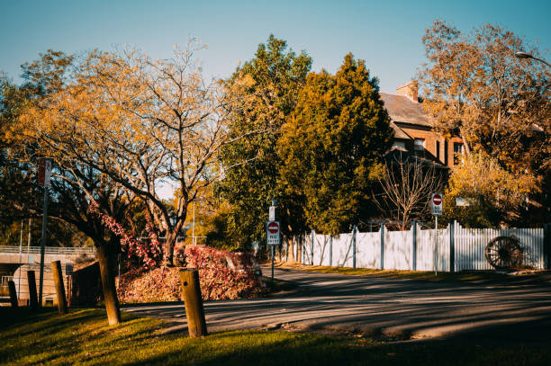 istock Trees by plants against sky during autumn-Windsor 2153002169