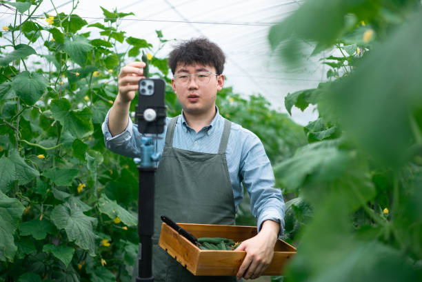 istock people using mobile phone in agriculture field 2153003868