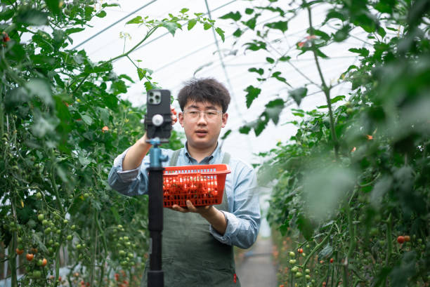 istock people using mobile phone in agriculture field 2153003872