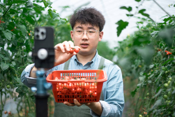 istock people using mobile phone in agriculture field 2153003890
