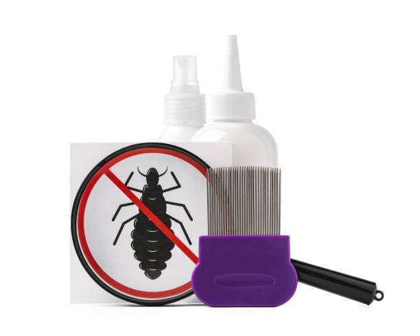 istock Cosmetic products and lice comb isolated on white background 2153005813