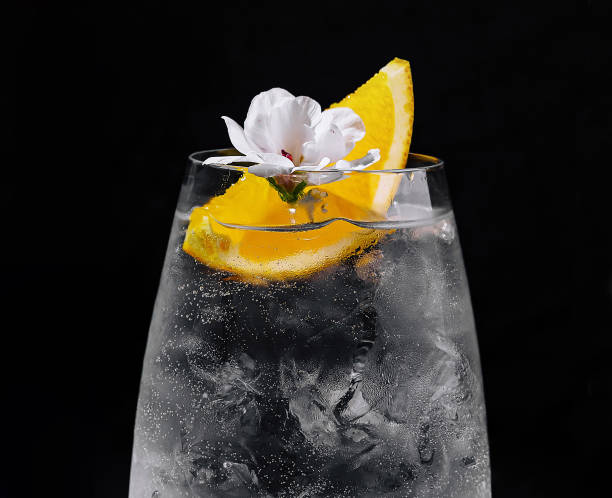 istock Refreshing gin and tonic cocktail with citrus garnish 2153006158
