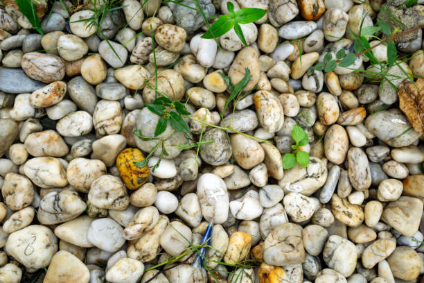 A variety of river rocks
