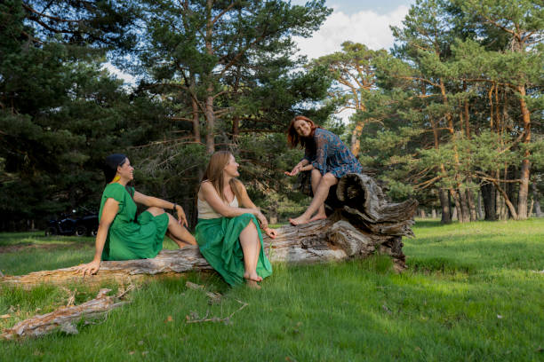 Three friends sit on a fallen log in a pine forest, chatting and enjoying each other's company in a serene outdoor setting.