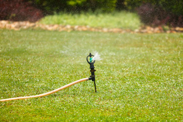 istock Watering a green lawn with a hose 2153010130