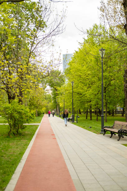 istock People walking in the park, vertical shot. 2153013744