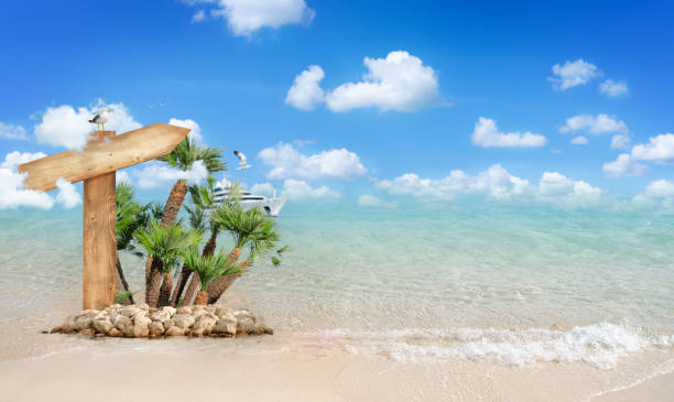 Empty wooden direction sign with palm tree on sunny shore background. Summer travel concept.