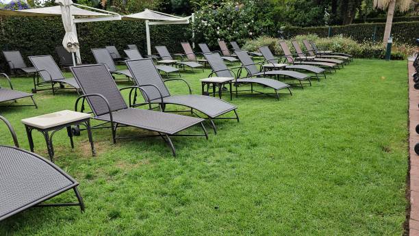 istock Row of Lounge Chairs on Grass 2153016946