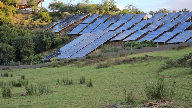 istock Solar Panels on the Side of a Hill 2153018376