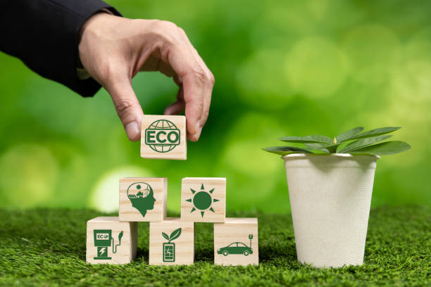 istock Businessman holding plant pot with ECO cube symbol. Alter 2153019075