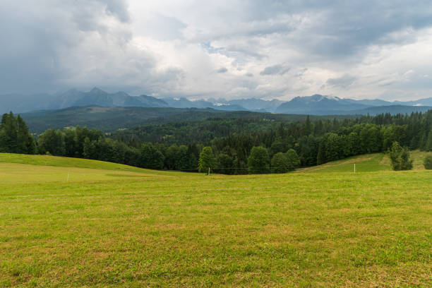 Tatra mountains from Lapszanka in Poland during cloudy summer day