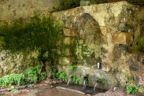 Old weathered fountain in a tropical setting.