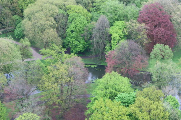 Aerial view over trees in a park