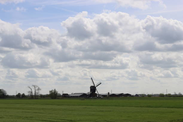Traditional windmill in the Dutch countryside