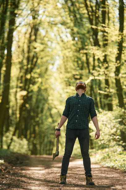 Looks up, holding an axe. Bearded man is in the forest at daytime.