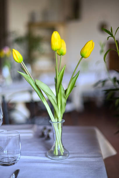 Extreme close up of tulips in a vase, for use as a background.