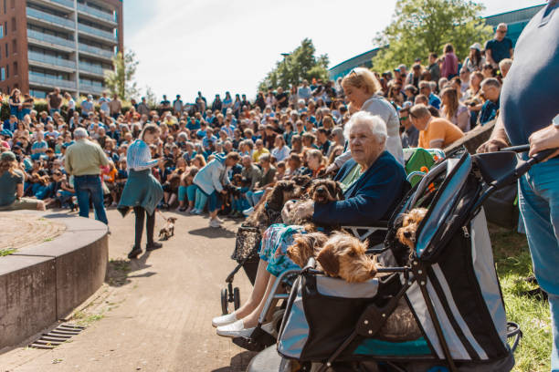 Sausage dogs and event goers at a Dachshund festival meeting in Dorpstraat, Zoetermeer, the Netherlands on 11th May 2024