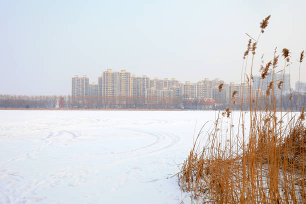Waterfront City snow scenery, North China