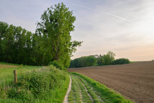 Path over the hills in Southern Limburg near Mheer during a loverly sprintime sunset.