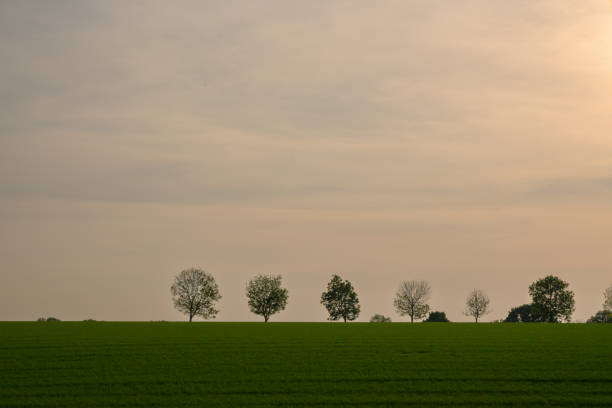 istock South Limburg hills springtime evening view 2153027000
